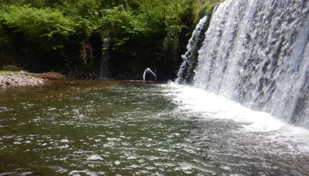 渓流保全工の点検