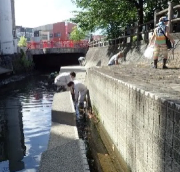 水門川クリーン作戦