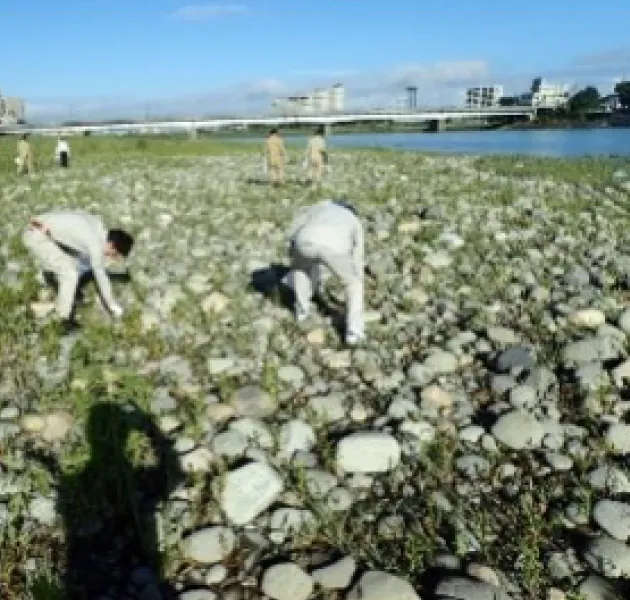 ボランティア長良川清掃活動